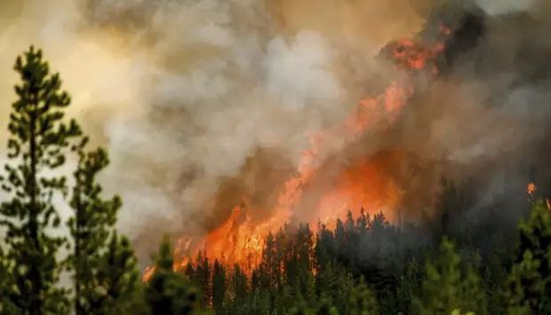 加拿大大火烧了2个月仍在烧，过火面积超韩国面积