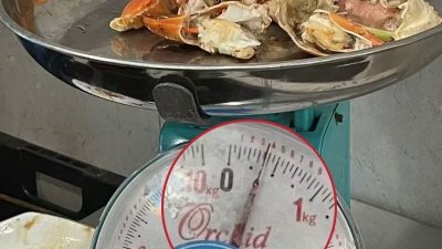 食客控诉800克螃蟹　烹饪后“缩水”剩350克 